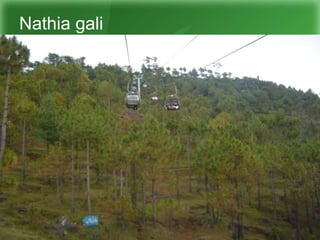 Nathia gali
 