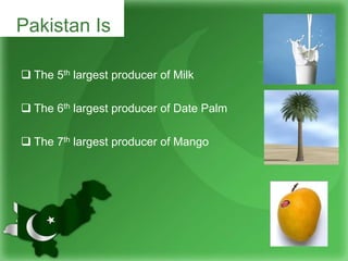  The 5th largest producer of Milk
 The 6th largest producer of Date Palm
 The 7th largest producer of Mango
Pakistan Is
 
