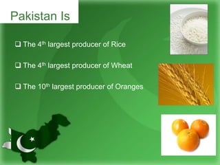  The 4th largest producer of Rice
 The 4th largest producer of Wheat
 The 10th largest producer of Oranges
Pakistan Is
 