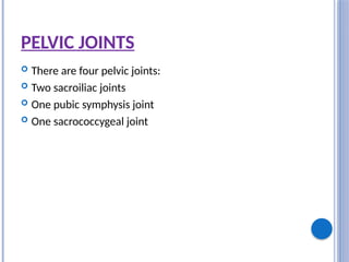 PELVIC JOINTS
 There are four pelvic joints:
 Two sacroiliac joints
 One pubic symphysis joint
 One sacrococcygeal joint
 