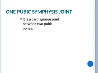 ONE PUBIC SYMPHYSIS JOINT
 It is a cartilaginous joint
between two pubic
bones.
 