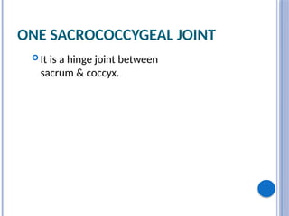 ONE SACROCOCCYGEAL JOINT
 It is a hinge joint between
sacrum & coccyx.
 