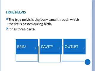 TRUE PELVIS
 The true pelvis is the bony canal through which
the fetus passes during birth.
 It has three parts-
BRIM CAVITY OUTLET
 