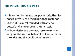 THE PELVIC BRIM OR INLET
 It is formed by the sacrum posteriorly, the iliac
bones laterally and the pubic bones anterior.
 Shape: it is almost rounded with anterio
posterior diameter being the shortest.
 Its boundaries are the sacral promontory and
wings of the sacrum behind the iliac bones on
the sides and the pubic bones in front.
 