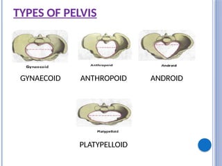 TYPES OF PELVIS
GYNAECOID ANTHROPOID ANDROID
PLATYPELLOID
 