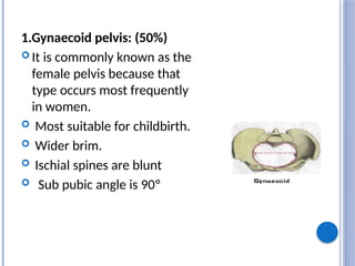 1.Gynaecoid pelvis: (50%)
 It is commonly known as the
female pelvis because that
type occurs most frequently
in women.
 Most suitable for childbirth.
 Wider brim.
 Ischial spines are blunt
 Sub pubic angle is 90º
 
