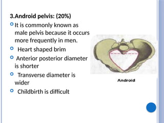 3.Android pelvis: (20%)
 It is commonly known as
male pelvis because it occurs
more frequently in men.
 Heart shaped brim
 Anterior posterior diameter
is shorter
 Transverse diameter is
wider
 Childbirth is difficult
 