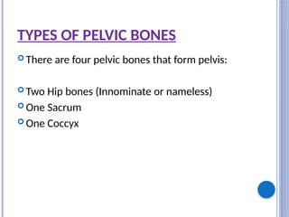 TYPES OF PELVIC BONES
 There are four pelvic bones that form pelvis:
 Two Hip bones (Innominate or nameless)
 One Sacrum
 One Coccyx
 