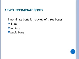 1.TWO INNOMINATE BONES
innominate bone is made up of three bones
 Ilium
 ischium
 pubic bone
 