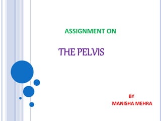 ASSIGNMENT ON
THE PELVIS
BY
MANISHA MEHRA
 