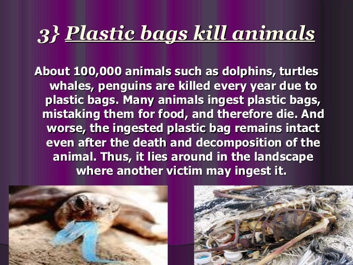 4} Plastic bags are
        non-biodegradable
And one of the worst environmental effects
    of plastic bags is that they ...