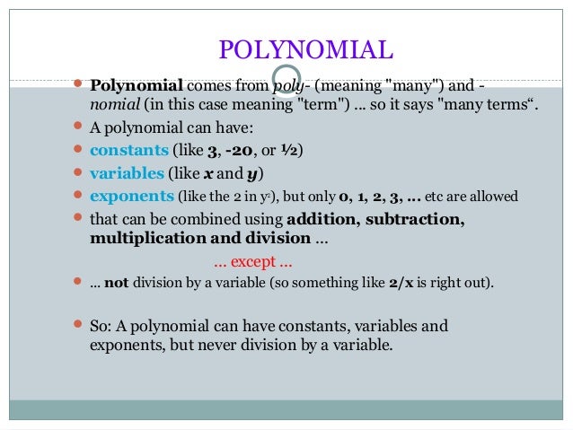 ppt on polynomial