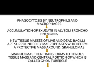PHAGOCYTOSIS BY NEUTROPHILS AND
MACROPHAGES
ACCUMULATION OF EXUDATE IN ALVEOLI BRONCHO
PNEMONIA
NEWTISSUE MASSES OF LIVE AND DEAD BACILLI
ARE SURROUNDED BY MACROPHAGESWHICHFORM
A PROTECTIVE MASS AROUND GRANULOMAS
GRANULOMASTHENTRANSFORMSTO FIBROUS
TISSUE MASS AND CENTRAL PORTION OFWHICH IS
CALLED GHONTUBERCLE
 