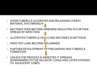  GHONTUBERCLE ULCERATES AND RELEASING CHEESY
MATERIAL INTO BRONCHI
 BACTERIATHEN BECOME AIRBORNE RESULTING IN FURTHER
SPREAD OF INFECTION
 ULCERATEDTUBERCLE HEALS AND BECOMES SCARTISSUE
 INFECTED LUNG BECOME INFLAMMED
 FURTHER DEVOLOPMENT OF PNEUMONIA ANDTUBERCLE
FORMATION
 UNLESSTHE PROCESS IS ARRESTED IT SPREADS
DOWNWARDS TOTHE HILUM OF LUNGS AND LATER EXTENDS
TO ADJASCENT LOBES
 