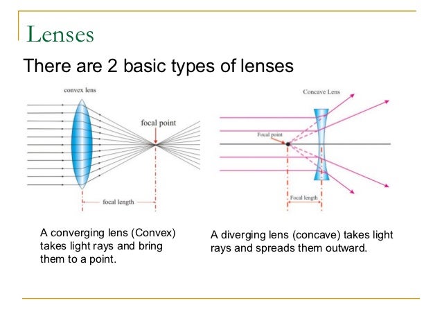 Diagram Of Types Of Lenses Image collections - How To 