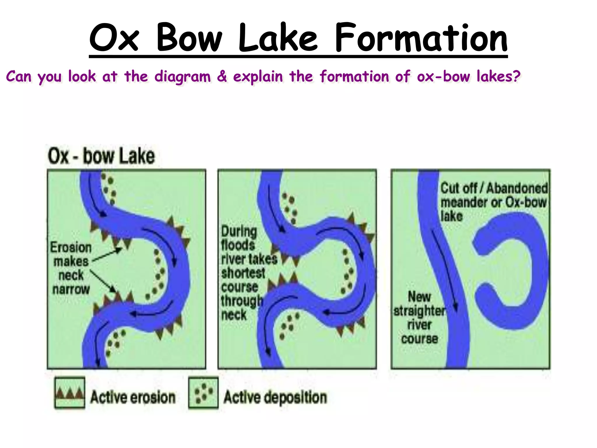 Ox Bow Lake Formation
Can you look at the diagram & explain the formation of ox-bow lakes?

 