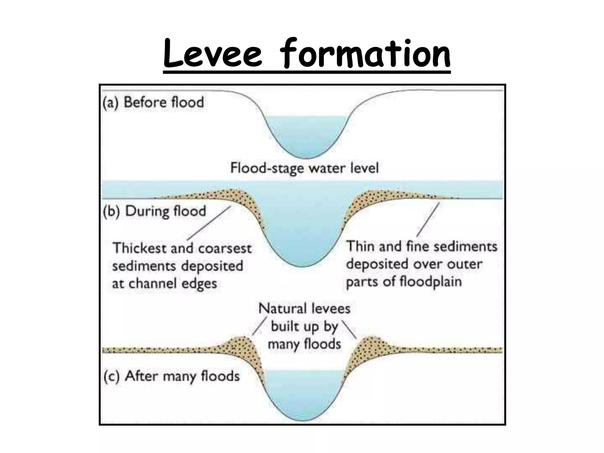 Levee formation

 