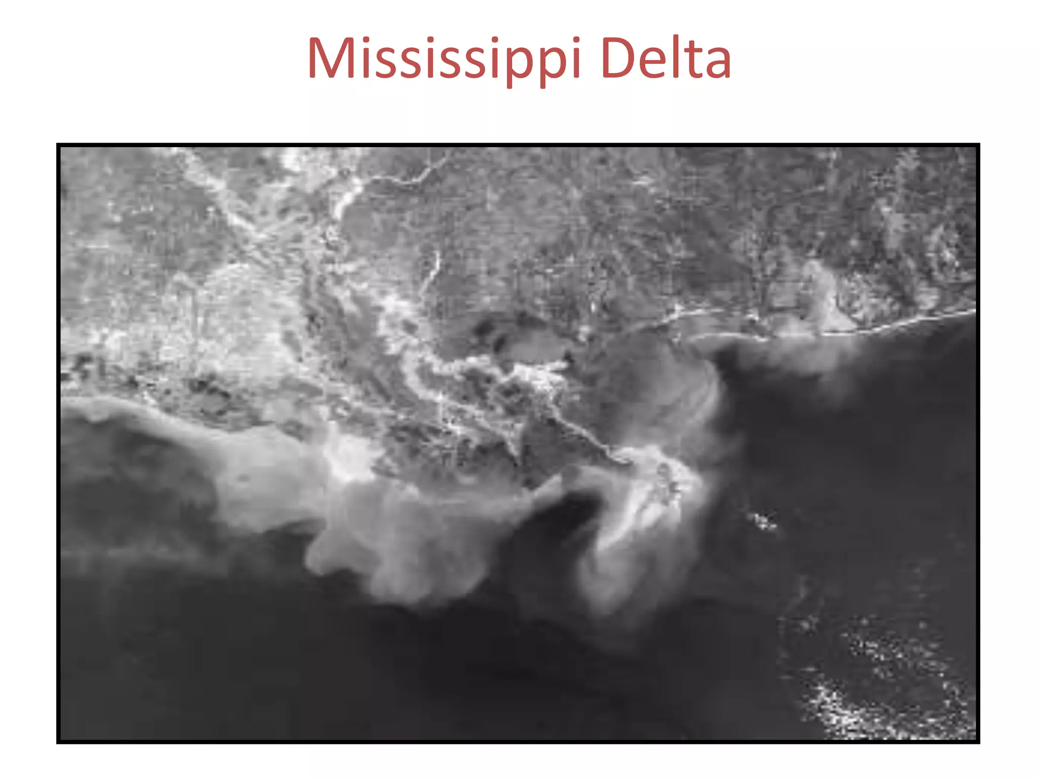 Mississippi Delta

 