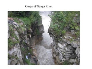 Gorge of Ganga River

 