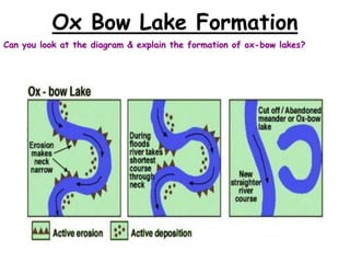 Ox Bow Lake Formation
Can you look at the diagram & explain the formation of ox-bow lakes?

 