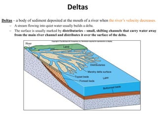 Deltas
Deltas – a body of sediment deposited at the mouth of a river when the river’s velocity decreases.
– A stream flowing into quiet water usually builds a delta.
– The surface is usually marked by distributaries – small, shifting channels that carry water away
from the main river channel and distributes it over the surface of the delta.

 