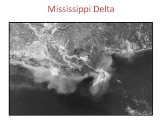 Mississippi Delta

 