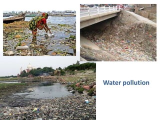 Water pollution

 