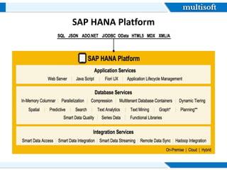 SAP HANA Platform
 