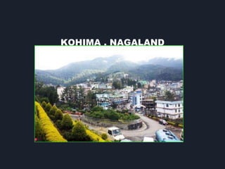 KOHIMA , NAGALAND
 