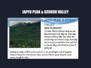 JAPFU PEAK & DZOKOU VALLEY
 
