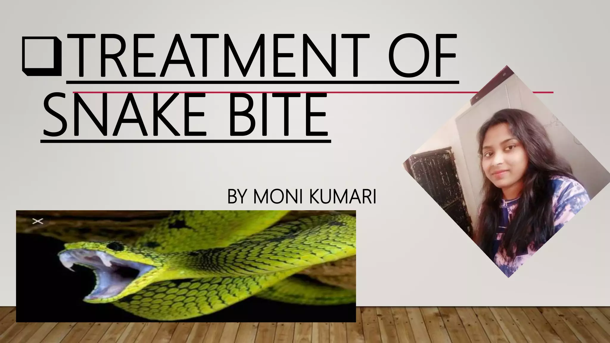 Ppt on snake bite PPT Ppt on snake bite PPT