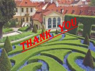 Ppt on triangles cbse viith class