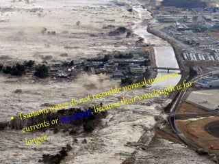 TSUNAMI
 