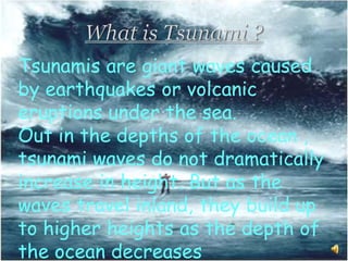 Tsunamis are giant waves caused
by earthquakes or volcanic
eruptions under the sea.
Out in the depths of the ocean ,
tsunami waves do not dramatically
increase in height. But as the
waves travel inland, they build up
to higher heights as the depth of
the ocean decreases
 