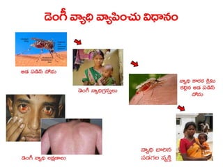  Vectorborne diseases power point in Telugu