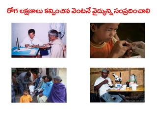  Vectorborne diseases power point in Telugu