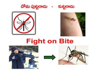  Vectorborne diseases power point in Telugu