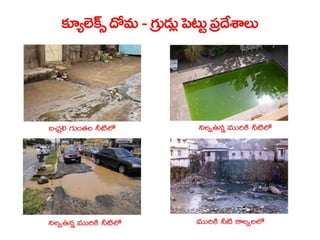  Vectorborne diseases power point in Telugu