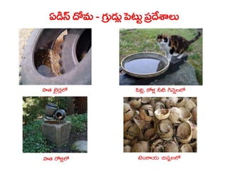  Vectorborne diseases power point in Telugu