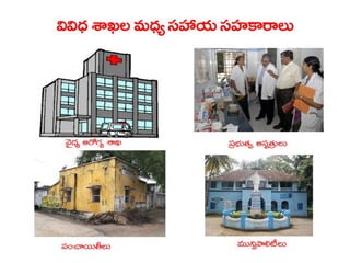  Vectorborne diseases power point in Telugu