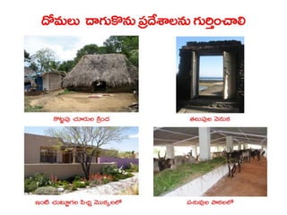  Vectorborne diseases power point in Telugu