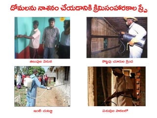 Vectorborne diseases power point in Telugu