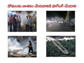  Vectorborne diseases power point in Telugu
