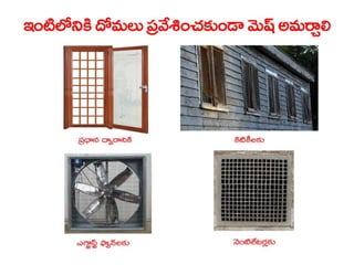 Vectorborne diseases power point in Telugu