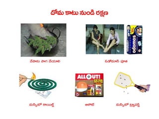  Vectorborne diseases power point in Telugu