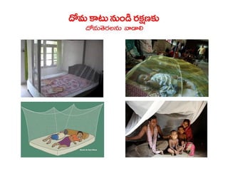  Vectorborne diseases power point in Telugu