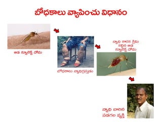  Vectorborne diseases power point in Telugu