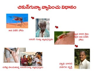  Vectorborne diseases power point in Telugu