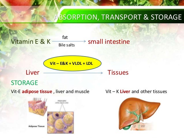 Ppt on vit e and k