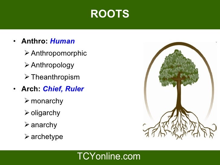 PPT on Vocabulary for Online CAT 2009